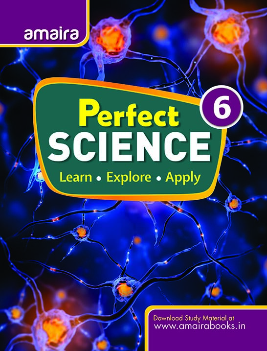 Perfect Science - 6